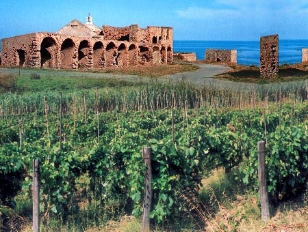 Cir Marina Cosenza and Crotone Calabria Amalfi Coast